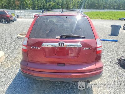 Zdjęcie 6 z 14 samochodu: 2010 HONDA CR-V EXL VIN:5J6RE4H71AL088410 - miniatura