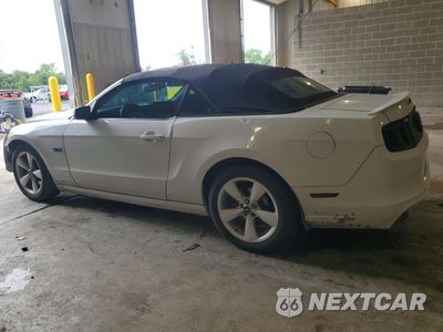 Drugie zdjęcie samochodu z przodu: 2014 FORD MUSTANG GT VIN:1ZVBP8FF6E5253068 - miniatura