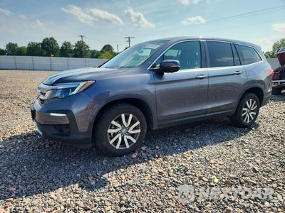 2020 HONDA PILOT EXL 5FNYF6H5XLB029970 - główne zdjęcie licytacji z USA - miniatura