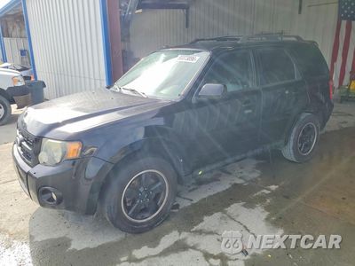 2010 FORD ESCAPE XLT 1FMCU0DGXAKC35242 - główne zdjęcie licytacji z USA - miniatura