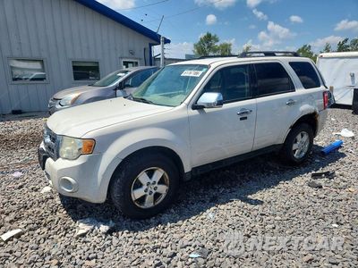 2010 FORD ESCAPE XLT 1FMCU9D72AKB94741 - główne zdjęcie licytacji z USA - miniatura