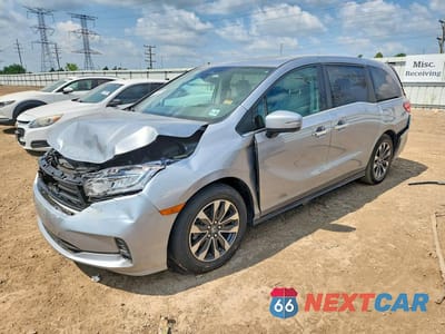 2024 HONDA ODYSSEY EXL 5FNRL6H67RB014485 - główne zdjęcie licytacji z USA - miniatura