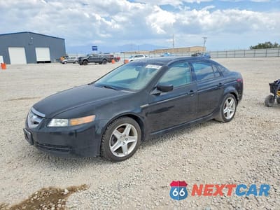 2005 ACURA TL 19UUA66245A038828 - główne zdjęcie licytacji z USA - miniatura