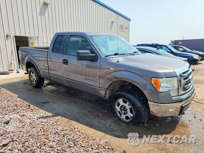 Czwarte zdjęcie samochodu z boku: 2010 FORD F150 SUPER CAB VIN:1FTFX1EV9AFB13864 - miniatura