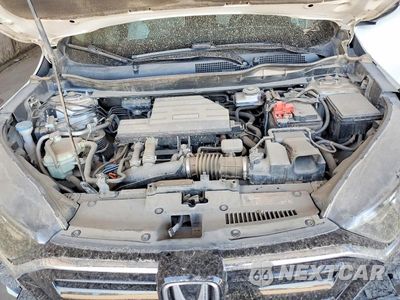 Zdjęcie 11 z 12 samochodu: 2020 HONDA CR-V LX VIN:5J6RW1H22LA013679 - miniatura
