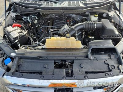 Zdjęcie 11 z 13 samochodu: 2023 FORD F150 VIN:1FTMF1C56PKF16570 - miniatura