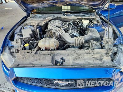 Zdjęcie 11 z 12 samochodu: 2017 FORD MUSTANG VIN:1FA6P8AM7H5209794 - miniatura