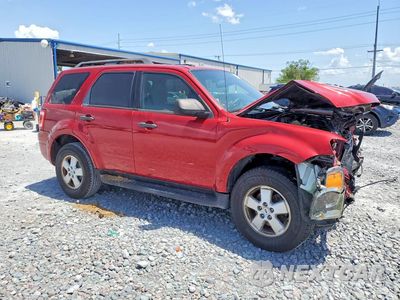 Czwarte zdjęcie samochodu z boku: 2011 FORD ESCAPE XLT VIN:1FMCU0D73BKC48335 - miniatura