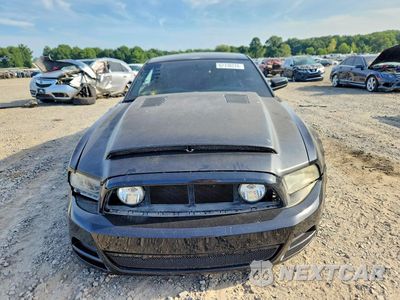 Piąte zdjęcie samochodu w środku: 2013 FORD MUSTANG GT VIN:1ZVBP8CFXD5267381 - miniatura