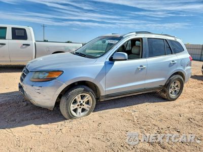 2007 HYUNDAI SANTA FE SE 5NMSH73E47H042151 - główne zdjęcie licytacji z USA - miniatura