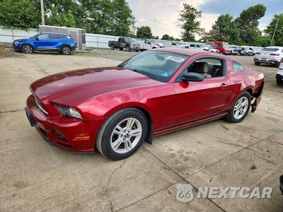 2014 FORD MUSTANG 1ZVBP8AM4E5245721 - główne zdjęcie licytacji z USA - miniatura