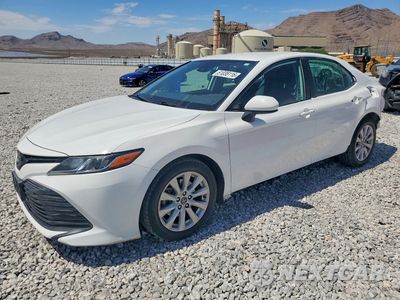 2019 TOYOTA CAMRY LE 4T1B11HKXKU776659 - główne zdjęcie licytacji z USA - miniatura