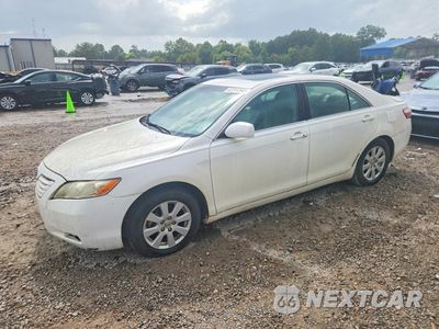 2009 TOYOTA CAMRY XLE V6 4T1BK46K69U593092 - główne zdjęcie licytacji z USA - miniatura