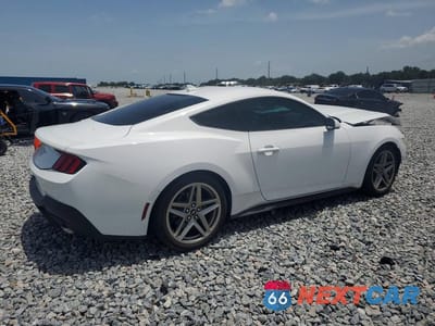 Trzecie zdjęcie samochodu z tyłu: 2024 FORD MUSTANG VIN:1FA6P8TH0R5118609 - miniatura