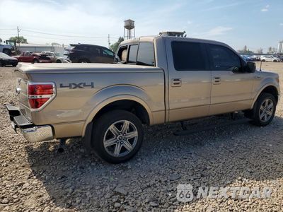 Trzecie zdjęcie samochodu z tyłu: 2013 FORD F150 SUPERCREW VIN:1FTFW1EF5DKG08845 - miniatura
