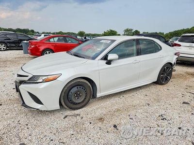 2019 TOYOTA CAMRY XSE 4T1B61HK1KU762909 - główne zdjęcie licytacji z USA - miniatura