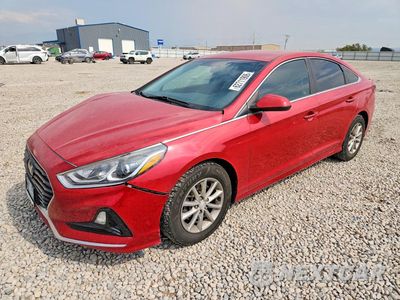 2019 HYUNDAI SONATA SE 5NPE24AF9KH801557 - główne zdjęcie licytacji z USA - miniatura
