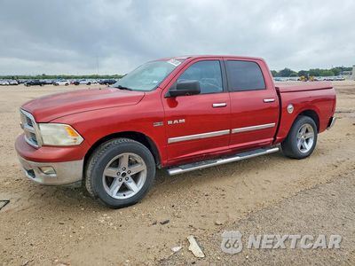 2009 DODGE RAM 1500 1D3HB13T19S767244 - główne zdjęcie licytacji z USA - miniatura