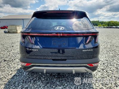 Zdjęcie 6 z 13 samochodu: 2024 HYUNDAI TUCSON LIMITED VIN:KM8JECD13RU161521 - miniatura