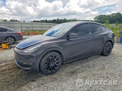 2021 TESLA MODEL Y 5YJYGDEEXMF125055 - główne zdjęcie licytacji z USA - miniatura
