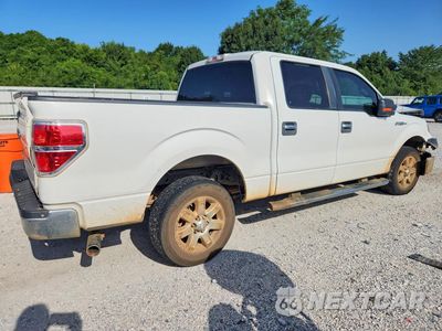 Trzecie zdjęcie samochodu z tyłu: 2013 FORD F150 SUPERCREW VIN:1FTFW1CF7DKF84325 - miniatura