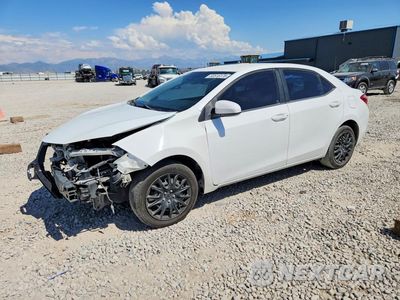 2017 TOYOTA COROLLA LE 2T1BURHE3HC843743 - główne zdjęcie licytacji z USA - miniatura