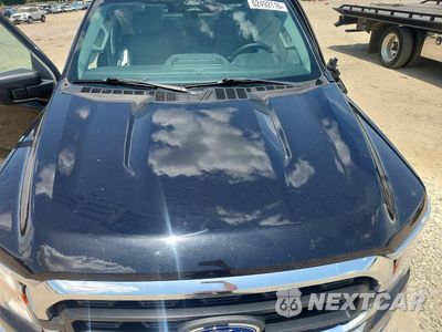 Zdjęcie 11 z 12 samochodu: 2021 FORD F150 SUPERCREW VIN:1FTFW1E58MKE62707 - miniatura