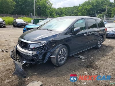 2024 HONDA ODYSSEY EXL 5FNRL6H66RB040995 - główne zdjęcie licytacji z USA - miniatura
