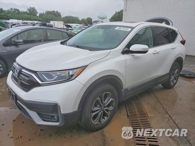 2022 HONDA CR-V EXL 7FARW2H82NE020632 - główne zdjęcie licytacji z USA - miniatura