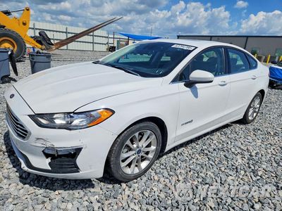 2019 FORD FUSION SE 3FA6P0LU0KR273498 - główne zdjęcie licytacji z USA - miniatura