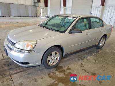 2005 CHEVROLET MALIBU LS 1G1ZT52885F220496 - główne zdjęcie licytacji z USA - miniatura