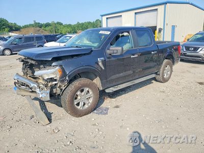 2021 FORD F150 SUPERCREW 1FTEW1EP1MFB97179 - główne zdjęcie licytacji z USA - miniatura