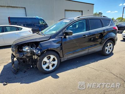 2014 FORD ESCAPE SE 1FMCU0GX3EUD56698 - główne zdjęcie licytacji z USA - miniatura