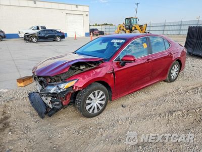 2020 TOYOTA CAMRY LE 4T1C31AK6LU531156 - główne zdjęcie licytacji z USA - miniatura