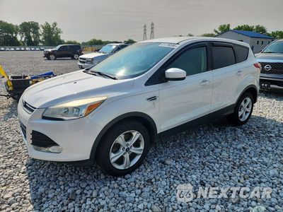2014 FORD ESCAPE SE 1FMCU9GX8EUB94958 - główne zdjęcie licytacji z USA - miniatura