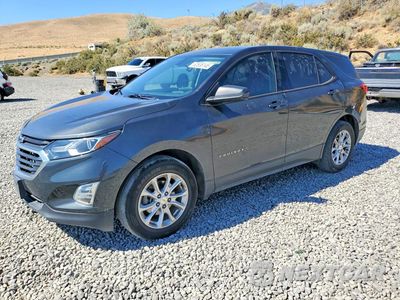 2019 CHEVROLET EQUINOX LS 2GNAXHEV6K6237189 - główne zdjęcie licytacji z USA - miniatura