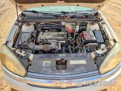 Zdjęcie 11 z 12 samochodu: 2005 CHEVROLET MALIBU VIN:1G1ZS52F95F216166 - miniatura