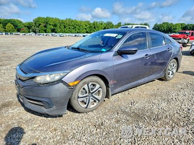 2017 HONDA CIVIC LX 19XFC2F56HE212856 - główne zdjęcie licytacji z USA - miniatura