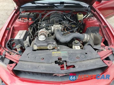 Zdjęcie 11 z 12 samochodu: 2006 FORD MUSTANG VIN:1ZVFT80N565250483 - miniatura
