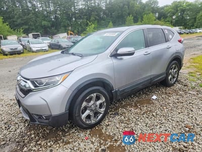 2019 HONDA CR-V EX 2HKRW2H57KH659488 - główne zdjęcie licytacji z USA - miniatura