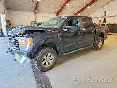 2021 FORD F150 SUPERCREW 1FTFW1E53MKE30229 - główne zdjęcie licytacji z USA - miniatura