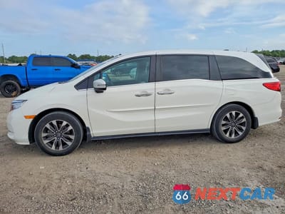 2024 HONDA ODYSSEY EXL 5FNRL6H6XRB007868 - główne zdjęcie licytacji z USA - miniatura