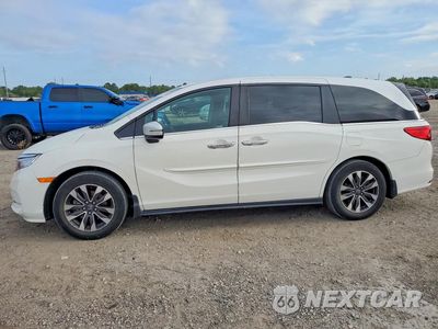 2024 HONDA ODYSSEY EXL 5FNRL6H6XRB007868 - główne zdjęcie licytacji z USA - miniatura