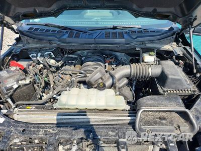 Zdjęcie 11 z 12 samochodu: 2023 FORD F150 SUPERCREW VIN:1FTFW1E52PKD00091 - miniatura