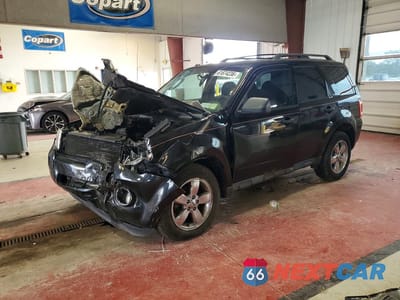 2011 FORD ESCAPE XLT 1FMCU9DG6BKC62167 - główne zdjęcie licytacji z USA - miniatura