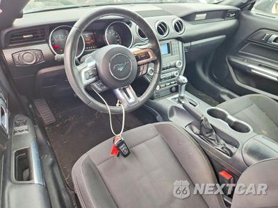 Zdjęcie 8 z 12 samochodu: 2021 FORD MUSTANG VIN:1FA6P8TH1M5104551 - miniatura