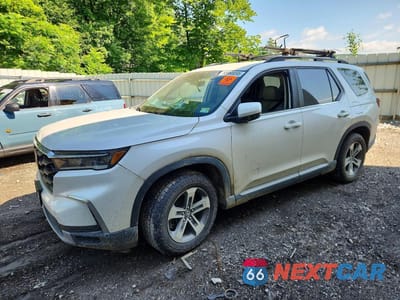 2023 HONDA PILOT EXL 5FNYG1H4XPB031652 - główne zdjęcie licytacji z USA - miniatura