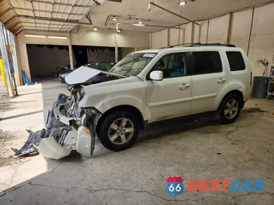 2009 HONDA PILOT EXL 5FNYF38659B003339 - główne zdjęcie licytacji z USA - miniatura