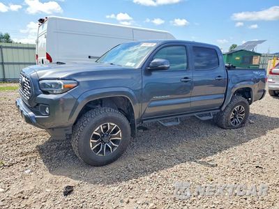 2023 TOYOTA TACOMA TRD SPORT 3TMCZ5AN5PM587300 - główne zdjęcie licytacji z USA - miniatura
