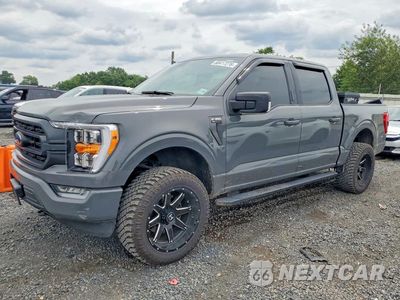 2021 FORD F150 SUPERCREW 1FTEW1EP4MFB95328 - główne zdjęcie licytacji z USA - miniatura
